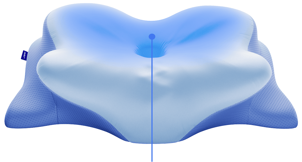 Derila Ergo Pillow Official Website